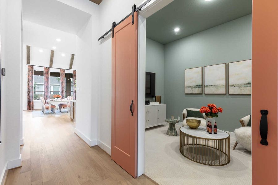 Entry/Entertainment Room