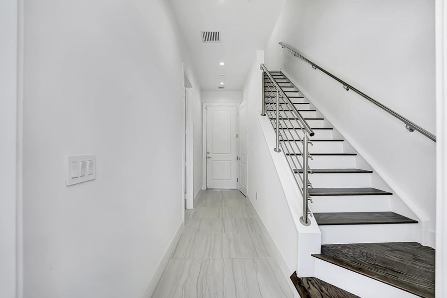 _DSC5100-2 _DSC5100-2