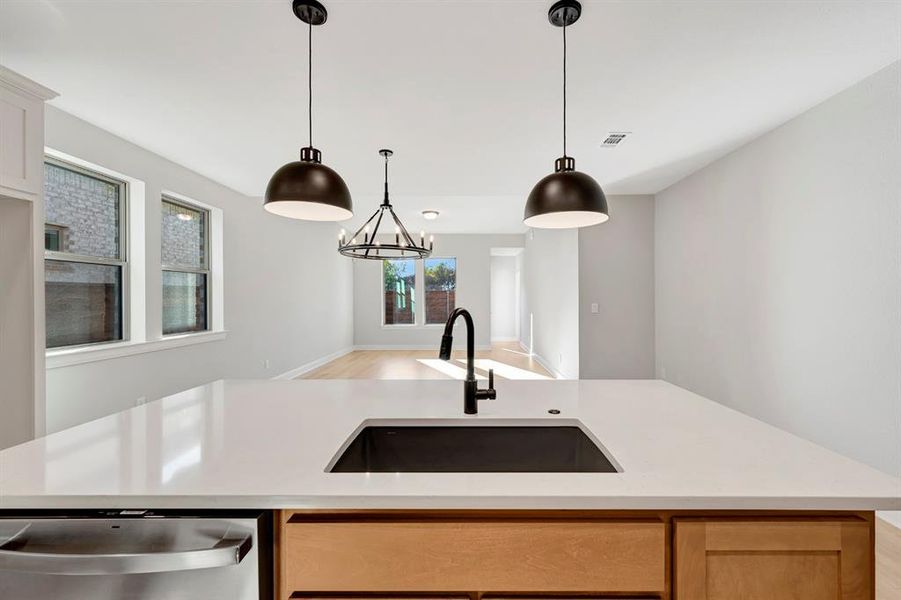 Close-up of interior finishes inside a home in Solterra - Garden Series, Mesquite (Image 19).