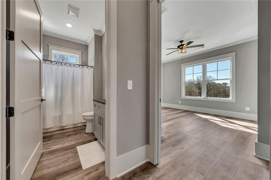 Spacious, unfurnished interior of a new home in , Jasper (Image 23).