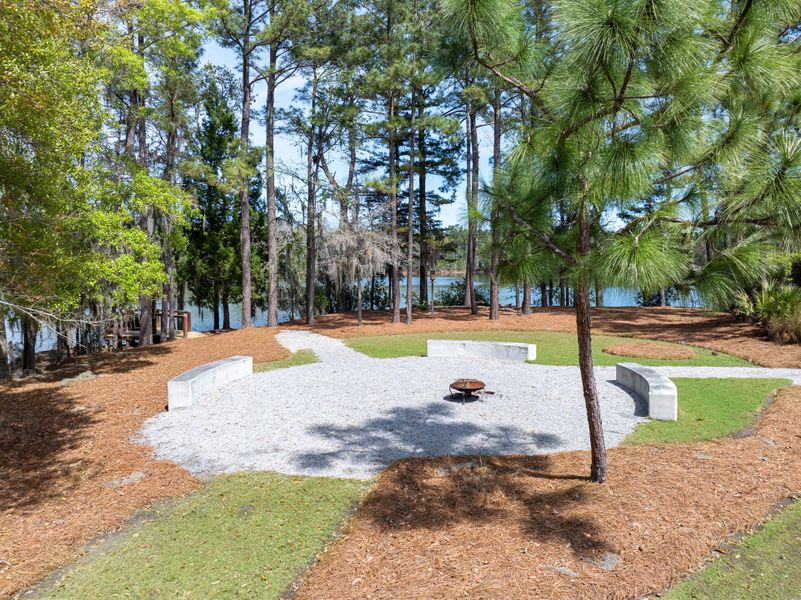 Natural landscape and outdoor views near Sweetgrass at Summers Corner in Summerville (Image 52).