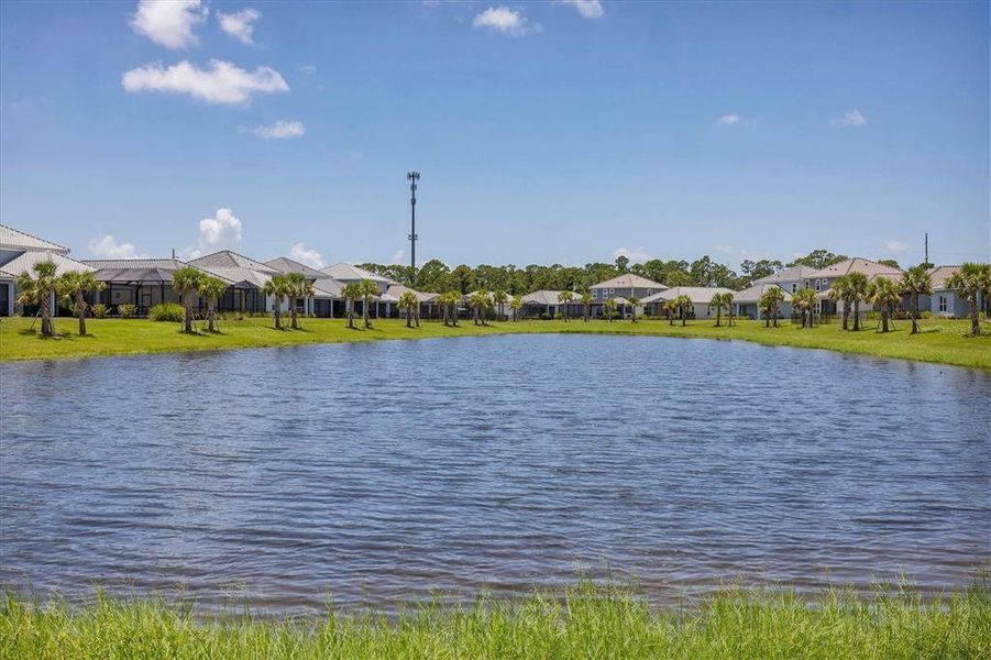 Natural landscape and outdoor views near in Sarasota (Image 41). Natural landscape and outdoor views near in Sarasota (Image 41).