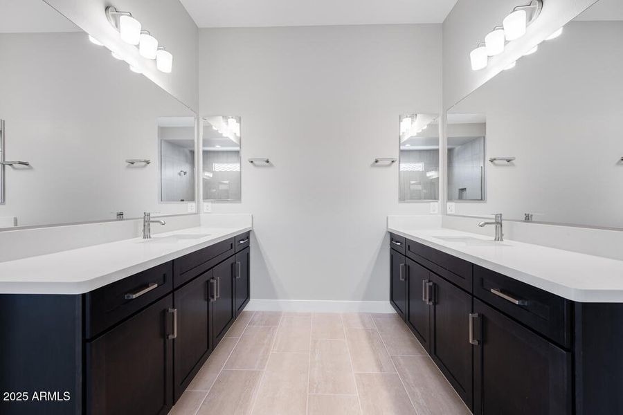 hj-az-phoenix-cantamia-portato-18147-w-t hj-az-phoenix-cantamia-portato-18147-w-t