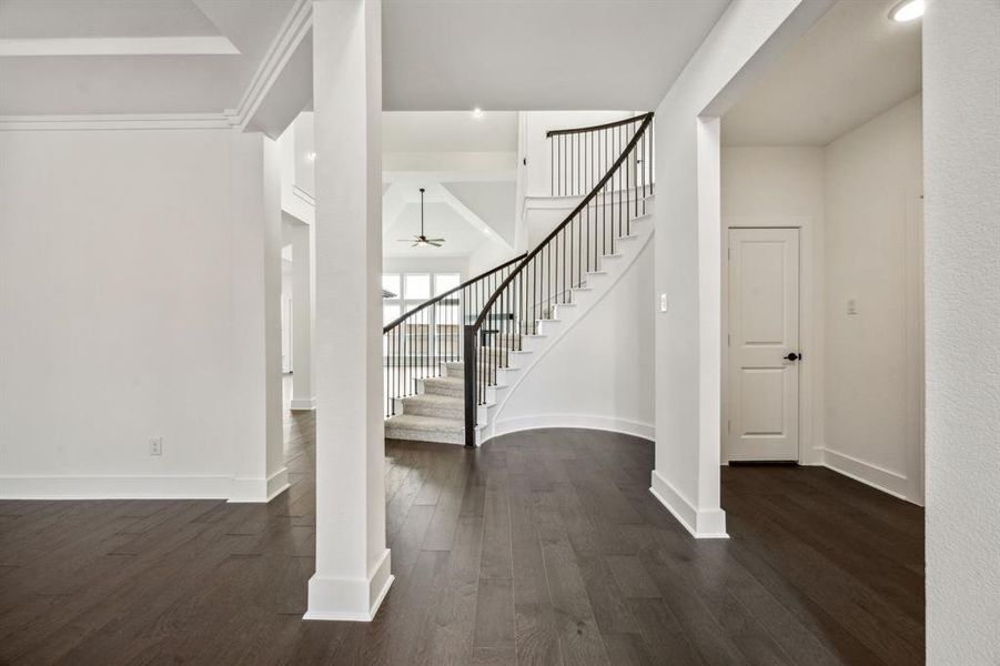 Foyer with dark hardwood / wood-style flooring