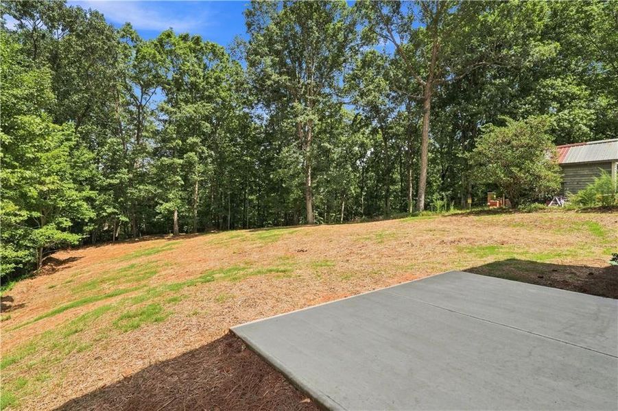 Natural landscape and outdoor views near in Gainesville (Image 41). Natural landscape and outdoor views near in Gainesville (Image 41).