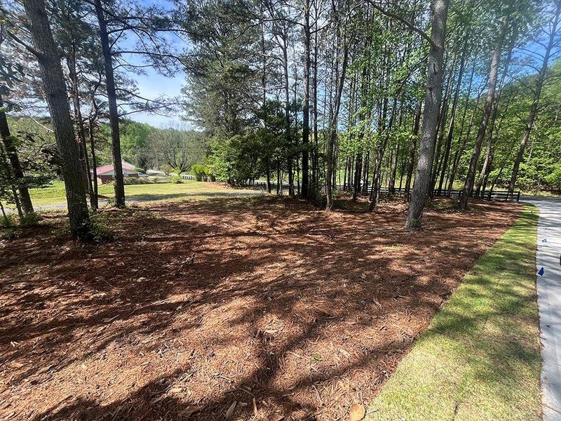 Natural landscape and outdoor views near  in Canton (Image 67).