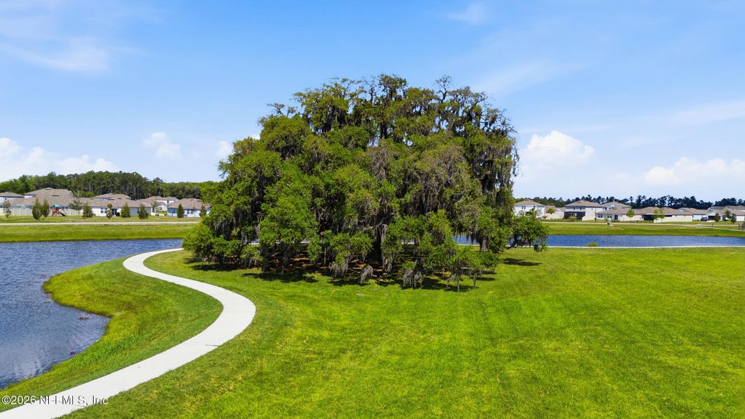 Natural landscape and outdoor views near  in St. Augustine (Image 68).