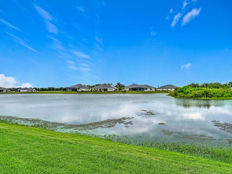 Natural landscape and outdoor views near River Preserve Estates in Parrish (Image 57).