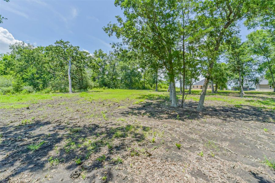 Natural landscape and outdoor views near  in Baytown (Image 40).