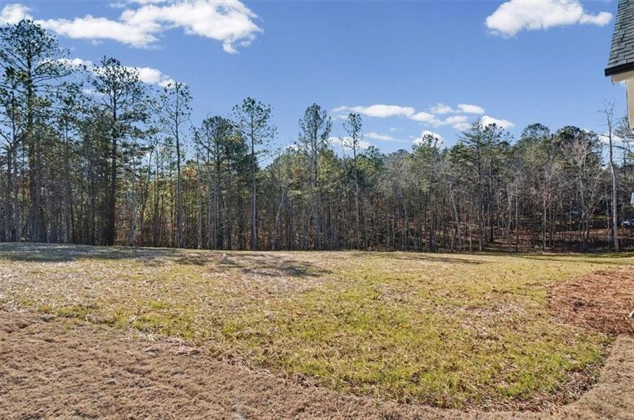 Natural landscape and outdoor views near  in Waleska (Image 45).