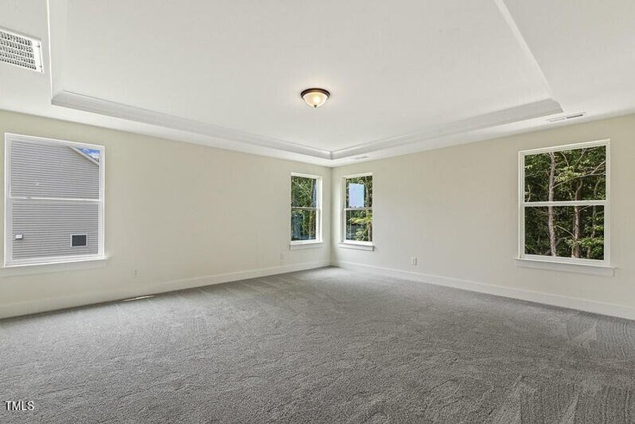 54562912837_bda3b9b464_c