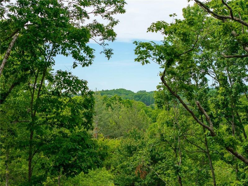 Natural landscape and outdoor views near  in Blue Ridge (Image 44).