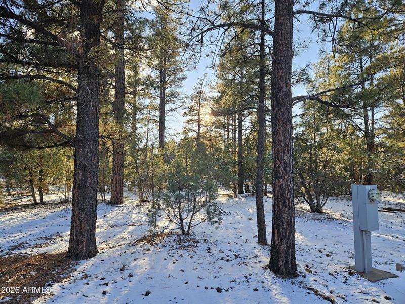 20260109_160701 20260109_160701