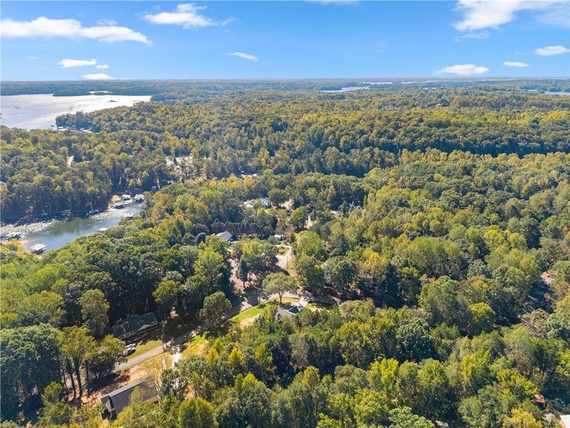 Natural landscape and outdoor views near  in Gainesville (Image 44).