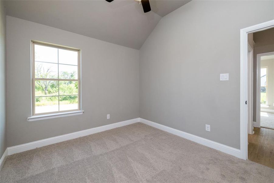 Unfurnished room featuring carpet flooring, ceiling fan, and vaulted ceiling