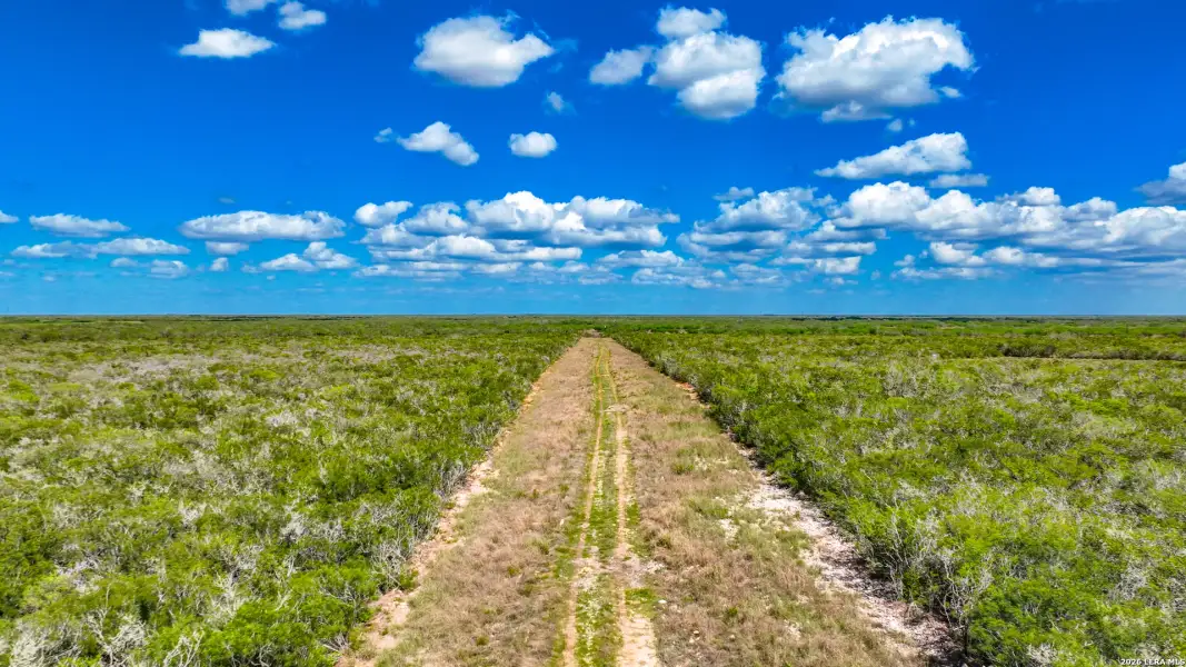 Natural landscape and outdoor views near  in Alice (Image 34).