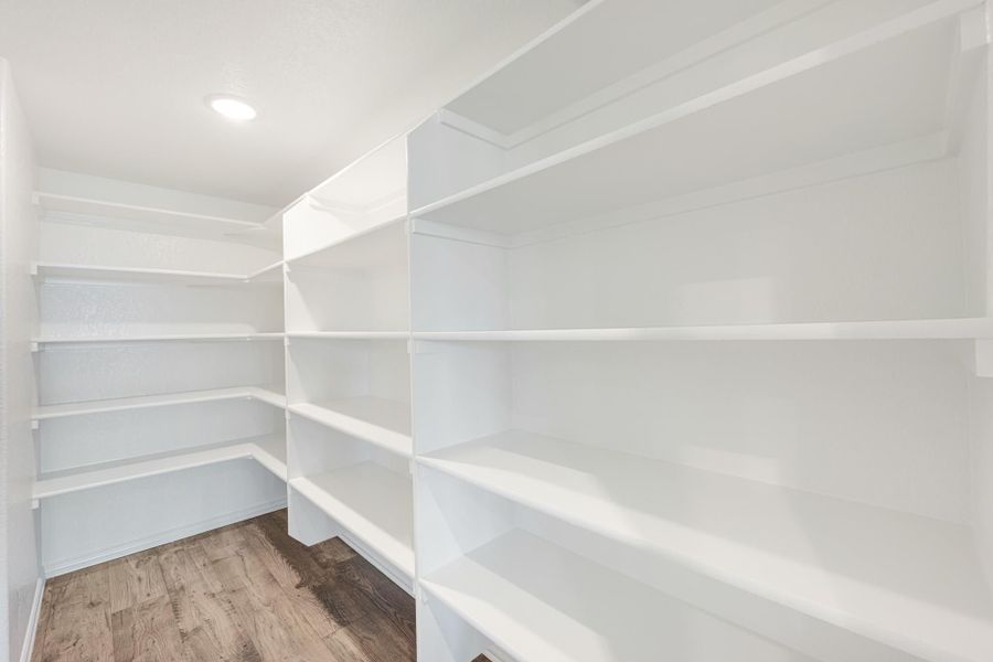 Walk-in pantry with white built-in shelves on three walls and wood-look flooring