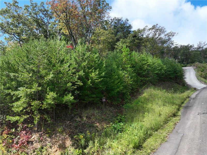 Natural landscape and outdoor views near  in Jasper (Image 18).