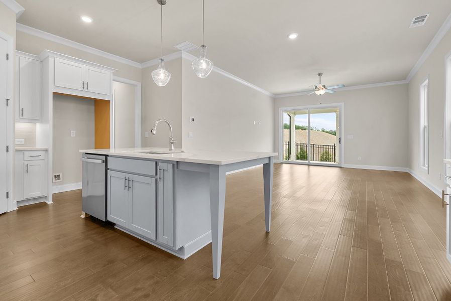 Image 56 representing the The Carter by The Providence Group in Aberdeen, Hoschton, GA.