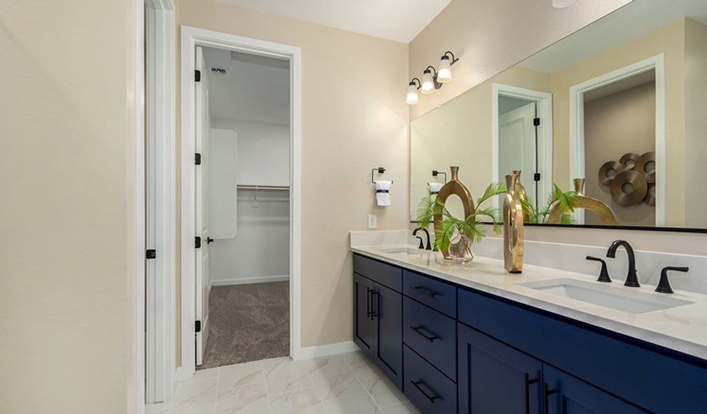 Navy-PB24-FusionBlossom Bathroom