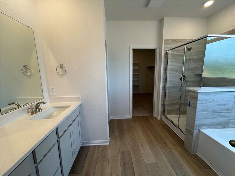 Bathroom featuring a spacious closet, a shower stall, vanity, light wood finished floors, and a garden tub Bathroom featuring a spacious closet, a shower stall, vanity, light wood finished floors, and a garden tub