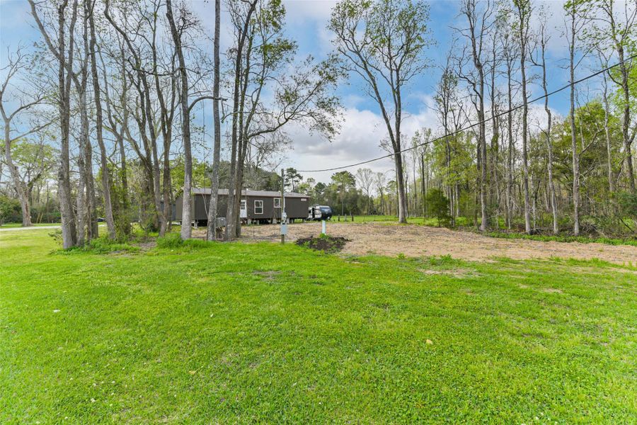 Lots of room to roam