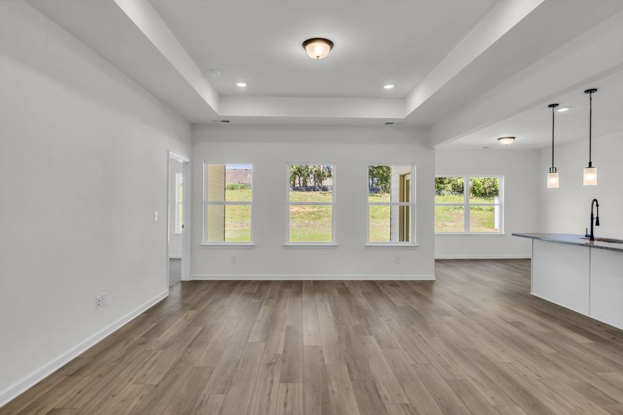 Open living room with elevated tray ceiling and tons of natural lighting!