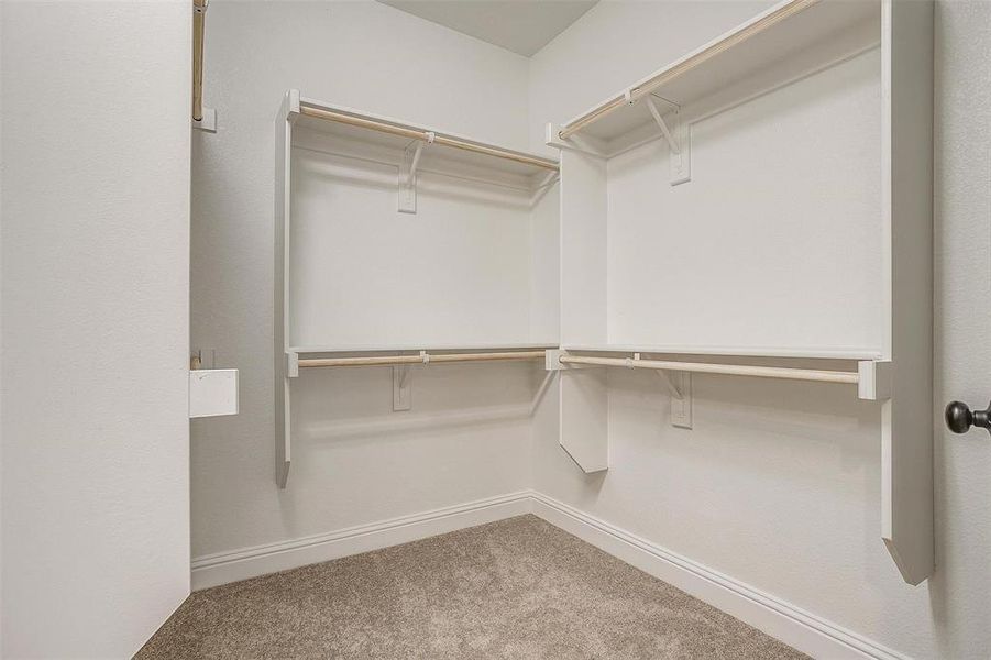 Spacious closet with carpet flooring