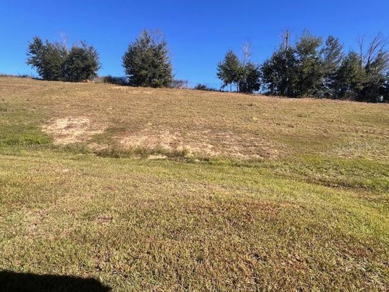 Natural landscape and outdoor views near Abbey Glen in Dade City (Image 8).