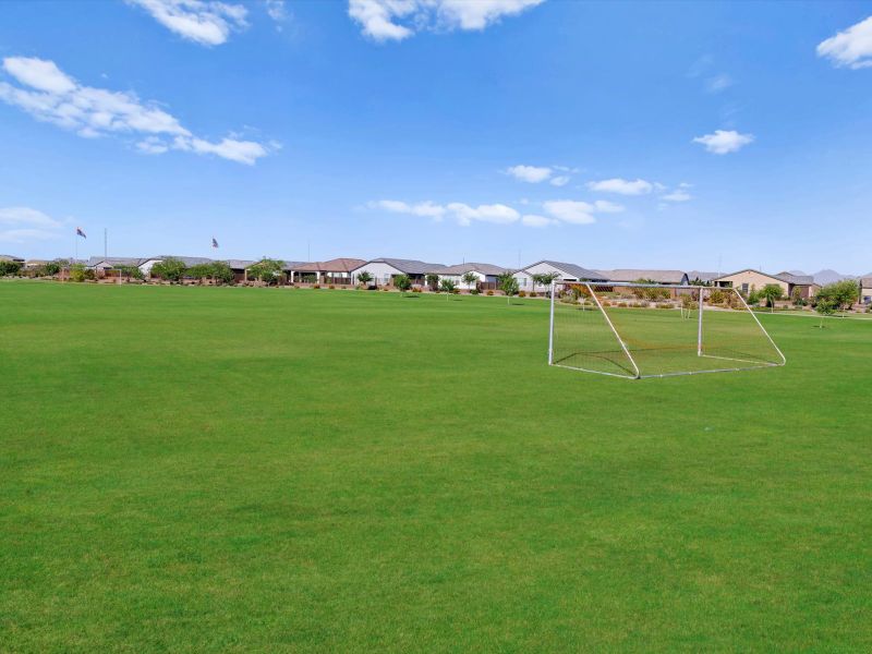 Community amenities in Bella Vista Farms Reserve Series, San Tan Valley (Image 29).