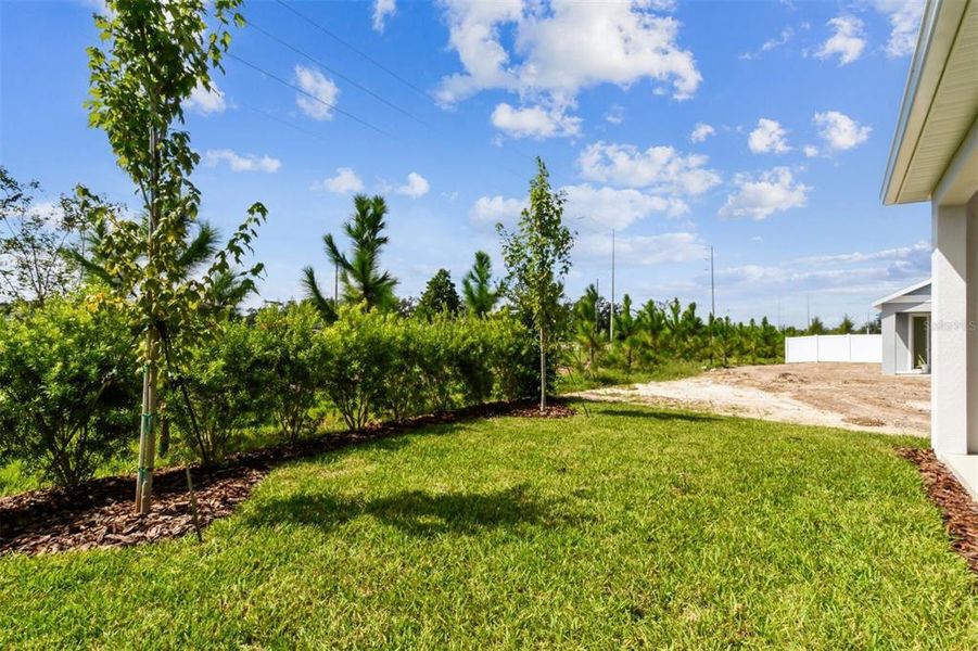 Natural landscape and outdoor views near Chapel Crossings - Garden Series in Wesley Chapel (Image 34).