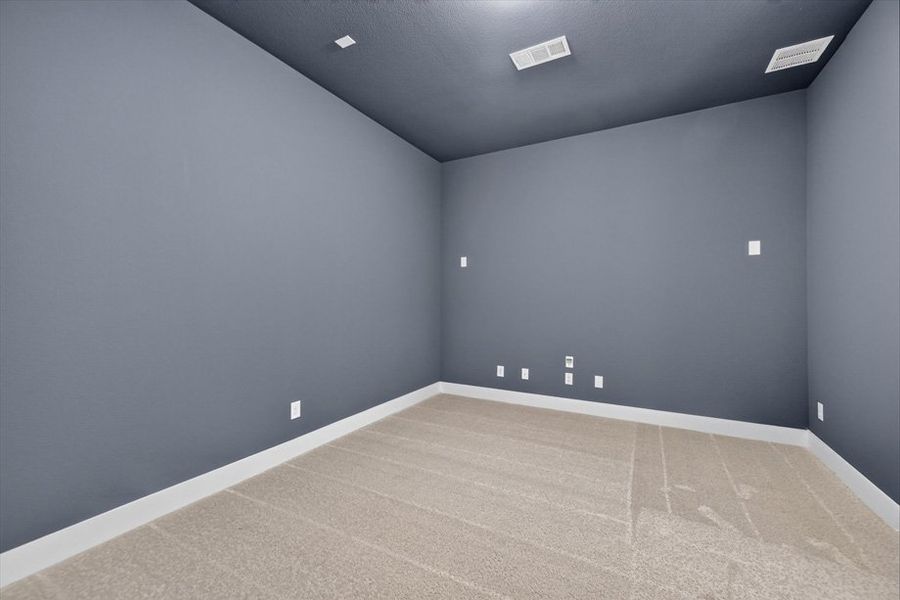 Entertainment Room