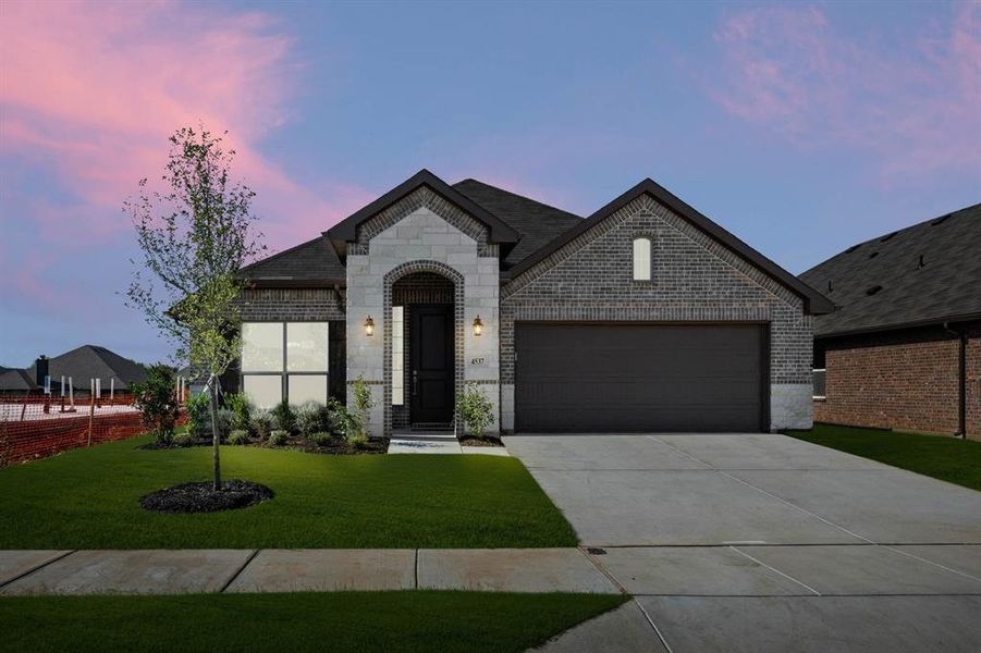4537 Aralia- Twilight-1 4537 Aralia- Twilight-1