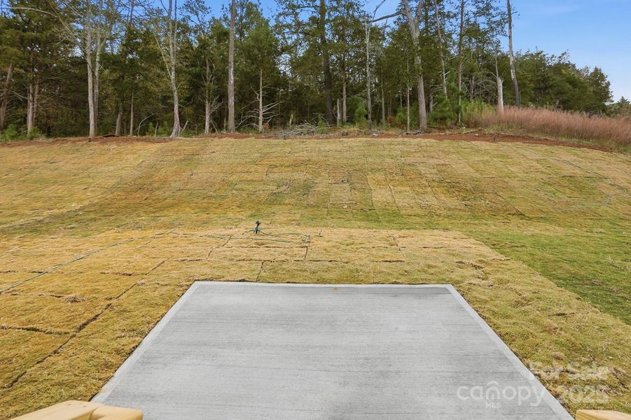 Additional Patio Space overlooking wooded homesite