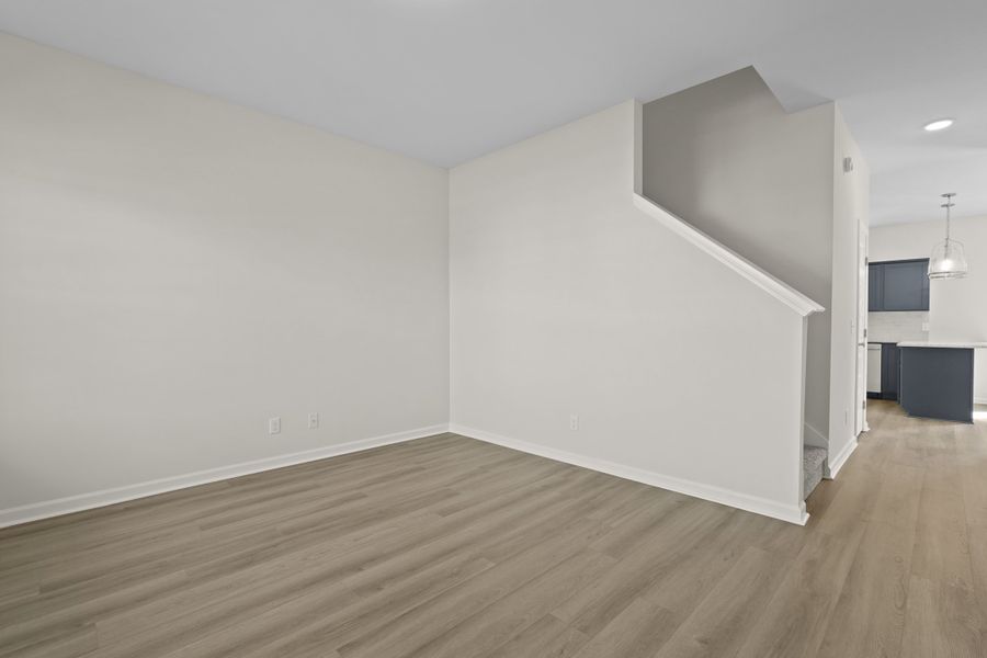 Representative unfurnished interior of a home built from the The Anderson by RTS Homes in Doctor's Creek, Ludowici (Image 17).