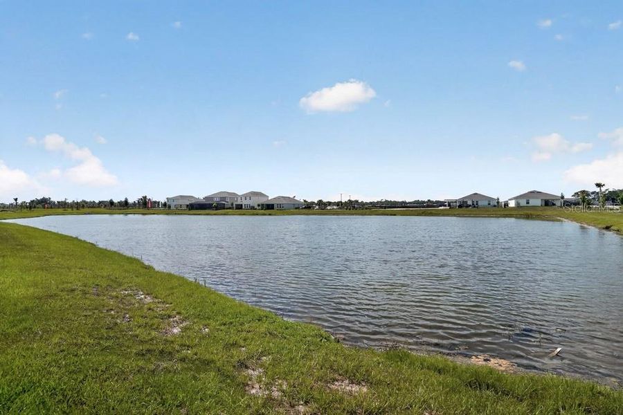 Natural landscape and outdoor views near Firethorn in Parrish (Image 32).