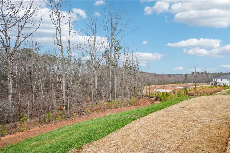 Natural landscape and outdoor views near Hemingway - Reserve Series in Cumming (Image 53).