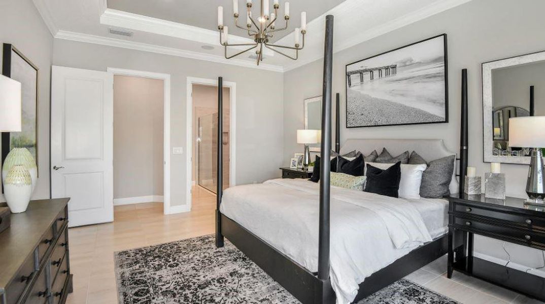 REPRESENTATIVE PHOTOS