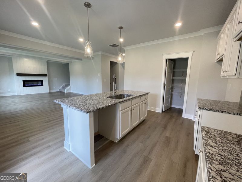 Furnished interior view inside a new home in Enclave at Logan Point, Loganville (Image 5).