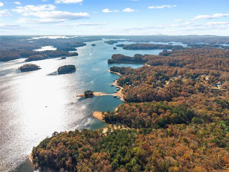 Natural landscape and outdoor views near  in Gainesville (Image 73).