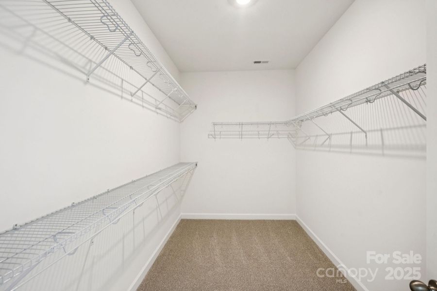 Spacious, unfurnished interior of a new home in Oxford Station, Salisbury (Image 21).