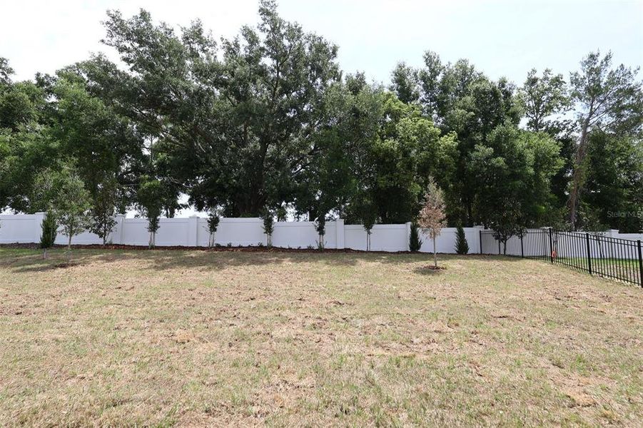 Natural landscape and outdoor views near Wolf Lake Ranch in Apopka (Image 18). Natural landscape and outdoor views near Wolf Lake Ranch in Apopka (Image 18).