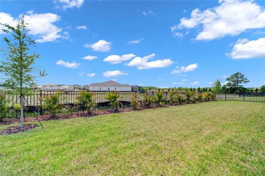 Natural landscape and outdoor views near Two Rivers in Zephyrhills (Image 41). Natural landscape and outdoor views near Two Rivers in Zephyrhills (Image 41).