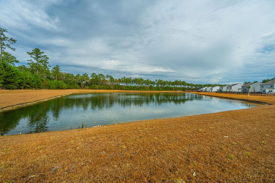 Natural landscape and outdoor views near Sea Island Preserve in Johns Island (Image 93).