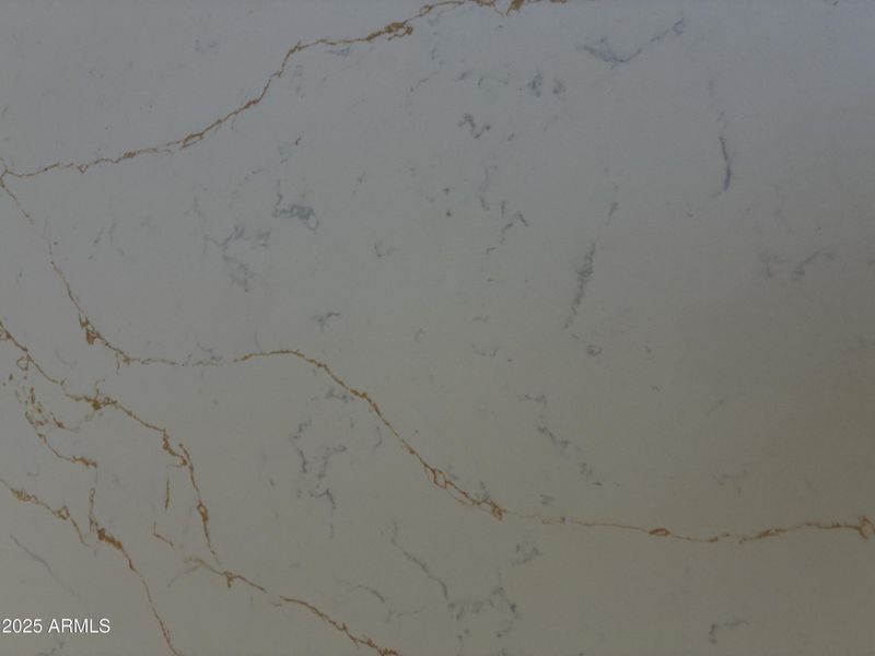 DETAIL IN THE COUTERTOPS