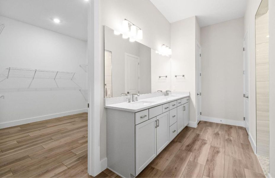 SEFL_DV_AAA_Stellar_Lot 01108 Owner's Ba