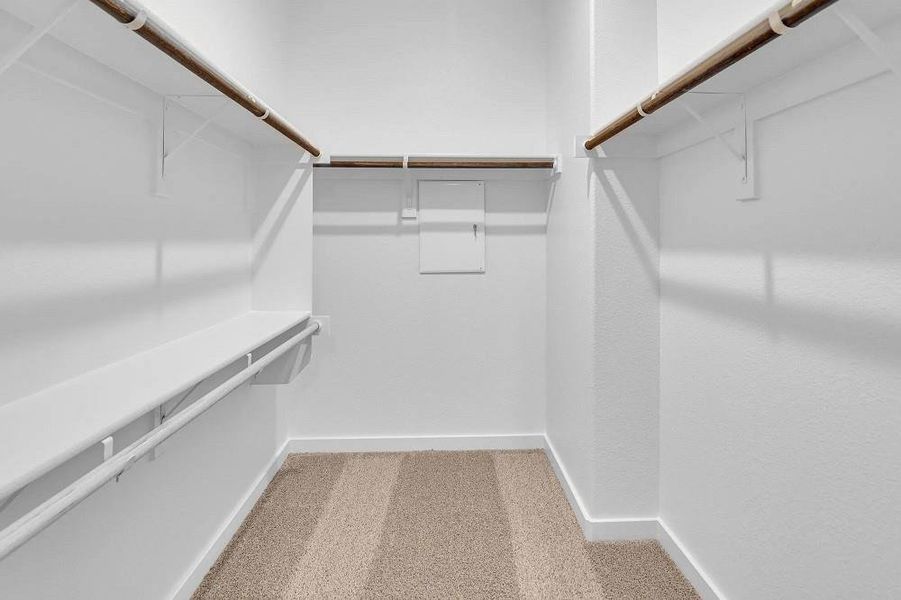 Spacious closet featuring carpet flooring Spacious closet featuring carpet flooring