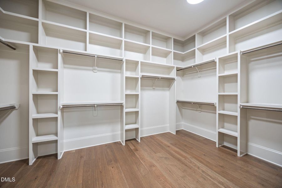 43-web-or-mls-IMG_1581