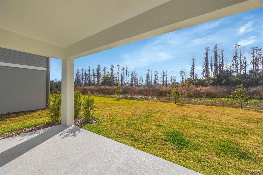 Exterior details and patio area of a home in , Zephyrhills (Image 32).