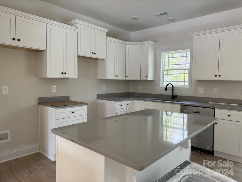 Kitchen with stainless appliances, quartz countertops and dovetailed, soft close cabinetry